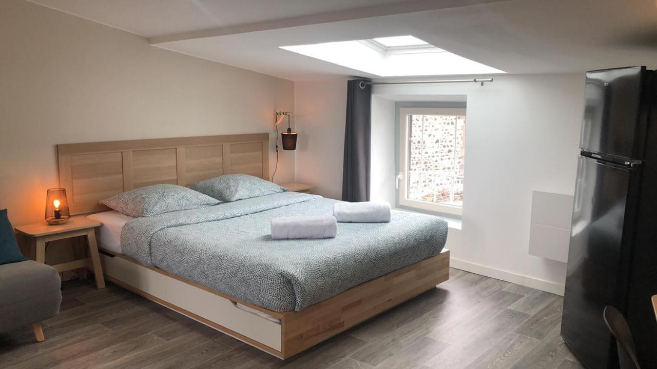 Jolis Appartements Au Coeur De Clermont Ferrand - Proche Jaude - Wifi Et Netflix Екстериор снимка