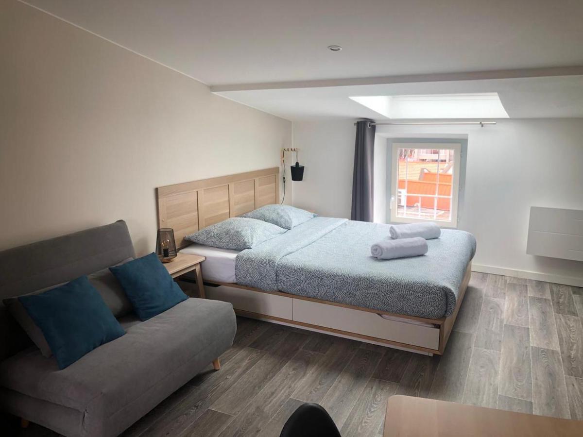 Jolis Appartements Au Coeur De Clermont Ferrand - Proche Jaude - Wifi Et Netflix Екстериор снимка